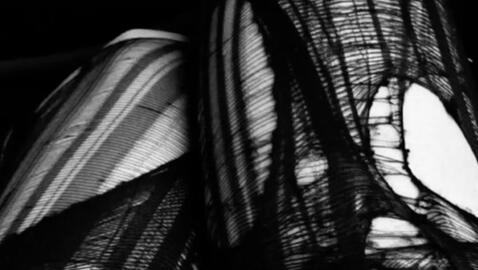 real eyes realize real lies